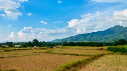 Panoramic landscape with wooden house, greenery mountain, and blue sky