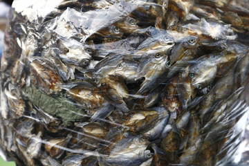 Bunch of dried fish called Ayungin or Silver Perch