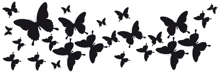 butterfly388