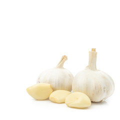 Fresh Organic Garlic Bulbs and Garlic Cloves (Allium sativum) isolated on white background. concept Herbal and Vegetable extracts are medications for Reduce heart disease risk and relieve colds.