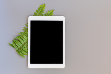 A tablet and some fern leaves on a grey background