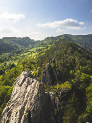 view of rocks and forest