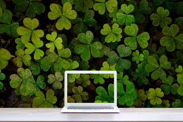 机とPC：背景クローバー 