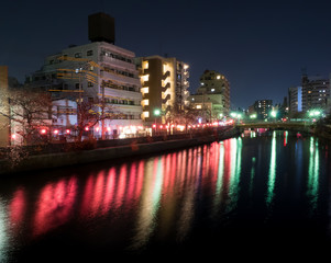 夜景の桜と大岡川
