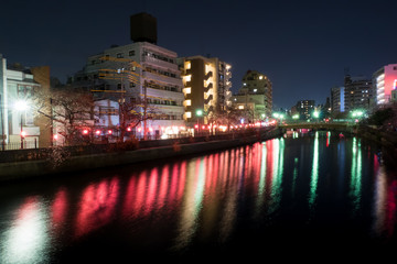 夜景の桜と大岡川