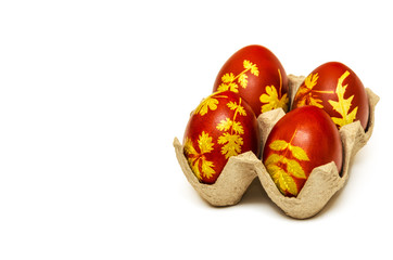 Obraz na płótnie Canvas Easter eggs dyed with onion husks with a pattern of fresh leaves of plants on a white background. Creative decoration and DIY concept. Closeup. Postcard with copy space
