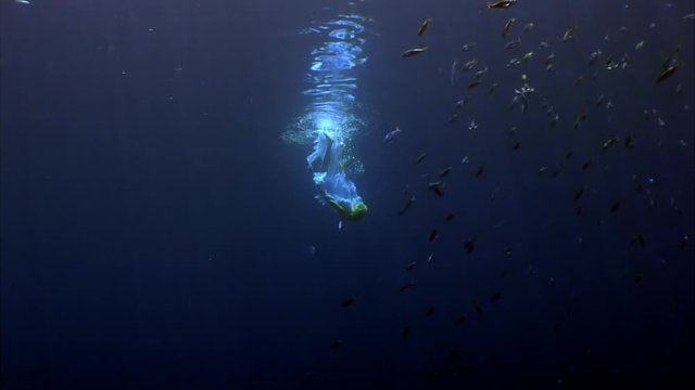 Young woman free diver underwater model angel in white cloth. Creativity and art of creating images on background of seabed.