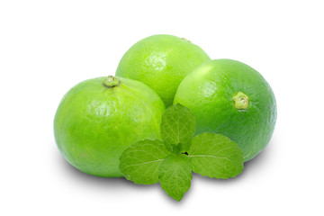 Composition with lime and mint isolated on a white background