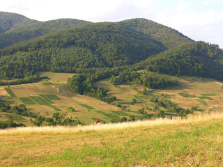 Carpathians