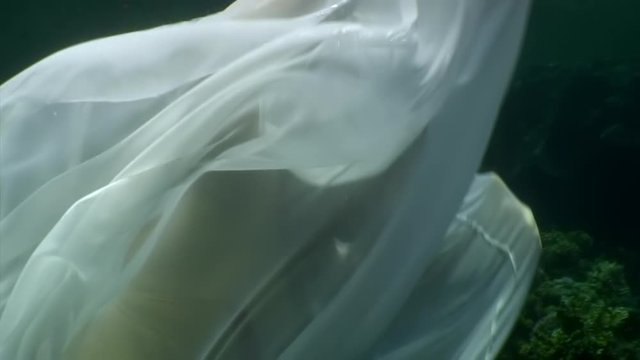 Young woman underwater model in white cloth on background of blue water. Concept of creativity and art of creating images.