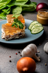 Piece of homemade jelly with meat on the plate. Aspic poultry and beef, traditional Russian and Ukrainian dish with mustard, spices and different ingredients. Holodets