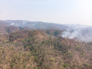 Smoke pollution problem from burning tree