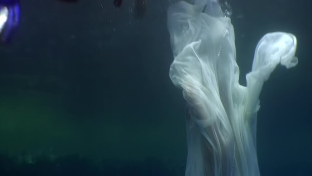 Young woman underwater model in white cloth on background of blue water. Concept of creativity and art of creating images.