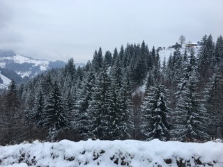 Winter mountain landscape in foggy Carpathians