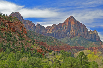 Spring landscape of the Watchman , Zion National Park, Utah, USA