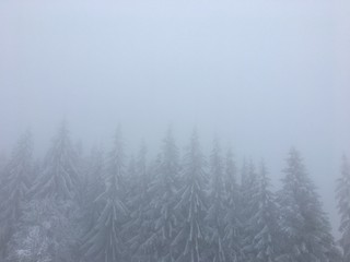 Winter mountain landscape in foggy Carpathians