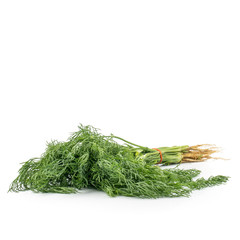 Fresh green dill (Anethum graveolens) isolated on the white background