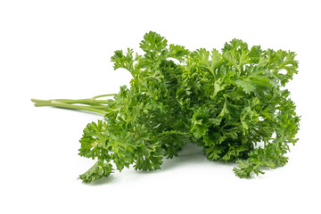 Fresh parsley green leaves (Petroselinum crispum) isolated on white background