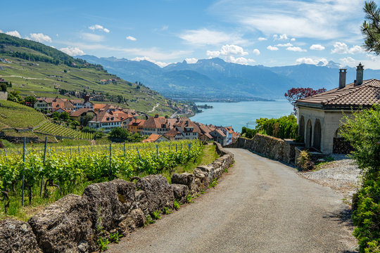 View on a little winery village called Rivaz, Lavaux Switzerland