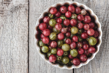 Gooseberry in a metal baking pan on a wooden table. © megdypro4im