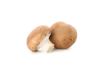 Champignon mushrooms isolated on white background, close up