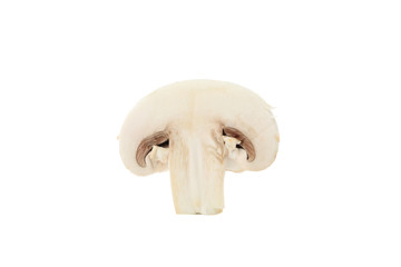 Fototapeta na wymiar Сhampignon mushroom isolated on white background, close up