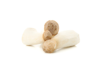 Fresh eringi mushrooms isolated on white background