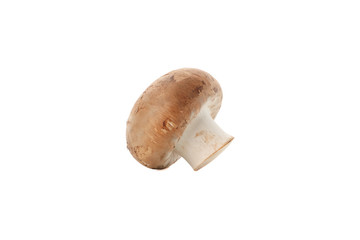 Raw champignon mushroom isolated on white background, close up