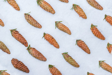 Pattern of fresh fir cones with green needles on snow, abstract winter, new year background