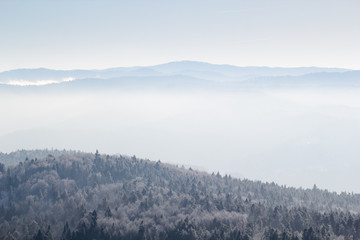 Mist and Fog in Beskid Sadecki Mountains in winter. View from Jaworzyna Krynicka, Poland.