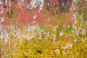 Old rusted wall with mold and peeled paint