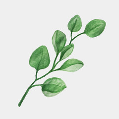 Beautiful vector watercolor decoration made of green hand drawn leaves with copy space, frame for invitations, print, set of branches