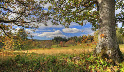 Idyllischer Schwarzwald