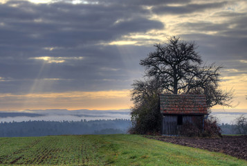 Hütte
