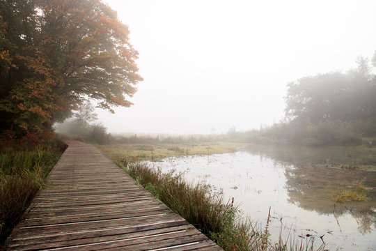 a foggy morning at the provincial domain de palingbeek in Zillebeke, Ypres