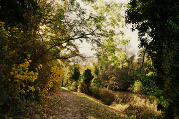 Autumn River