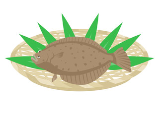 ヒラメのイラスト
