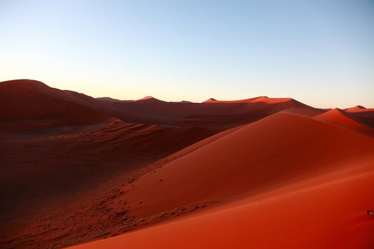 Huge Red sand dunes in Sossusvlei desert in Namibia in the sunrise