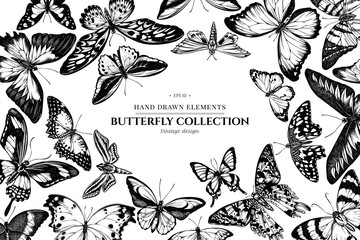 Design with black and white papilio ulysses, morpho menelaus, graphium androcles, morpho rhetenor cacica, papilio demoleus, cethosia biblis, papilio antimachus, alcides agathyrsus, ornithoptera
