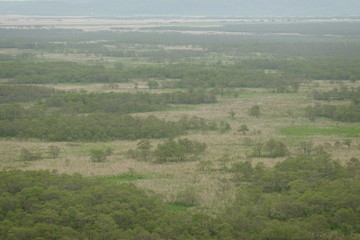 Obraz premium Landscape of Kushiro bog (the biggest bog in Japan / Hookaido)