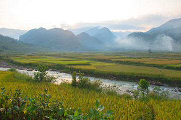 Fototapeta premium Green, brown, yellow and golden rice terrace fields of Tu Le valley, Northwest of Vietnam