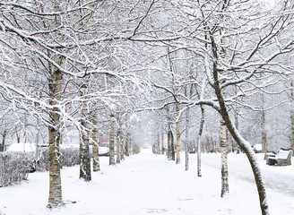 Snow alley in winter in the city