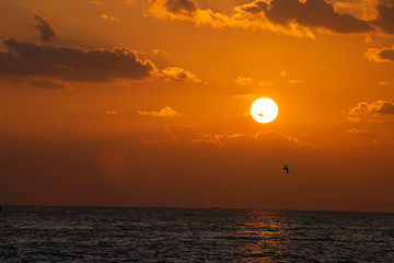 dawn sun in the midst of clouds over the ocean