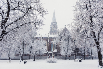 St. Elizabeth church in Lviv  in winter