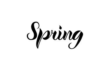 Fototapeta premium Spring. Lettering. The letters are written by hand.