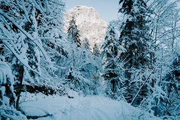 Winterlandschaft 