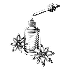 Anise star essential oil vector illustration