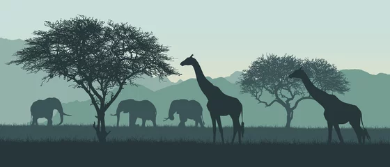 Foto op Aluminium Realistic illustration of African landscape and safari. Elephant with giraffe on savanna among trees on clear summer day under green sky, vector © Forgem