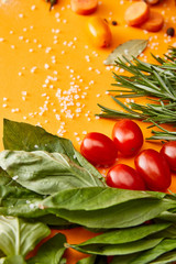 Fresh herbs with vegetables and salt on orange background