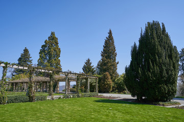 Wooden structure for climbing plant in a picturesque place of the flower island of Mainau in Germany
